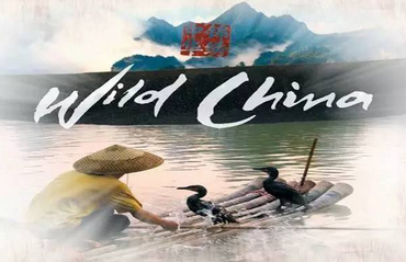 纪录片《美丽中国》